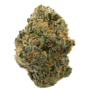 Purchase Best Sativa Strains and Hybrid Strains Online Today