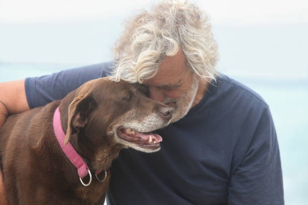 Understanding the ESA Letter Online Approval Process Step by Step