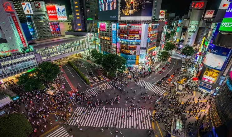 What Online Business Owners Learn From Booking a Tokyo 1 Day Tour